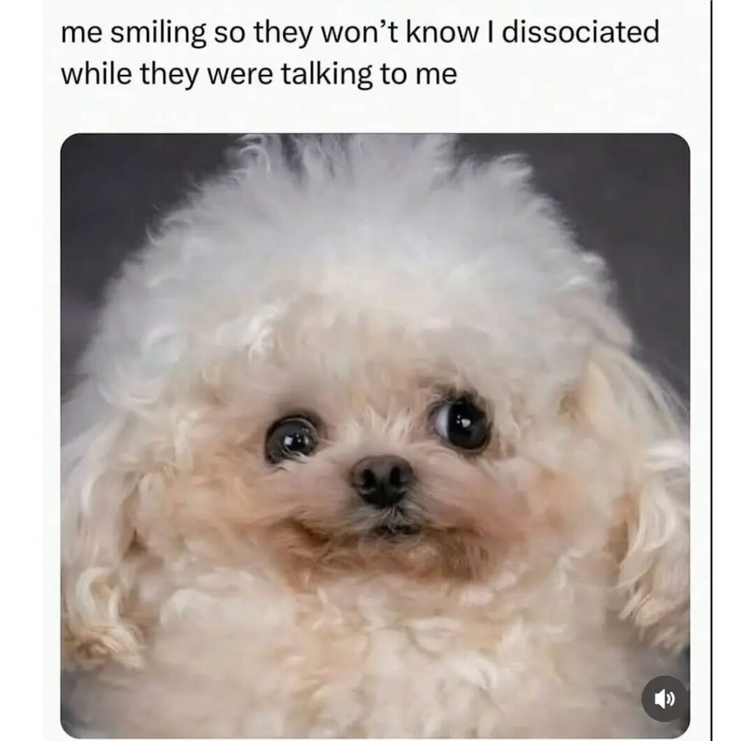 Real animal photo (edited)