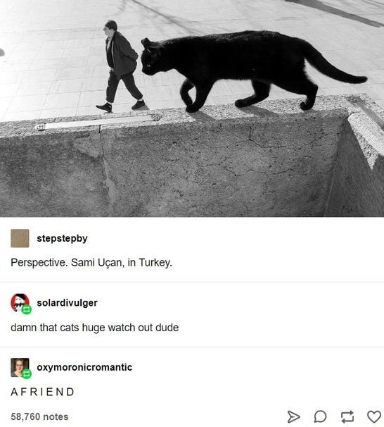 Real-World Human