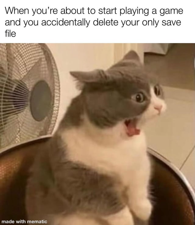 Shocked Cat