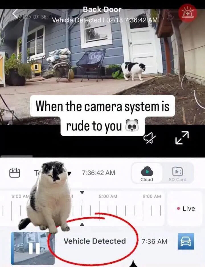 Real Life