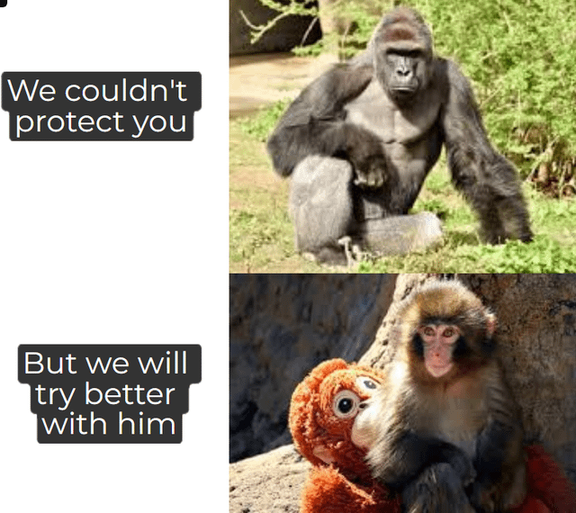 Harambe