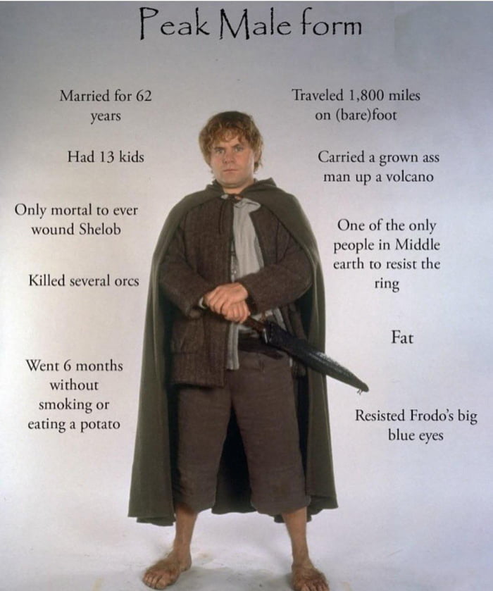 The Lord of the Rings (film series)