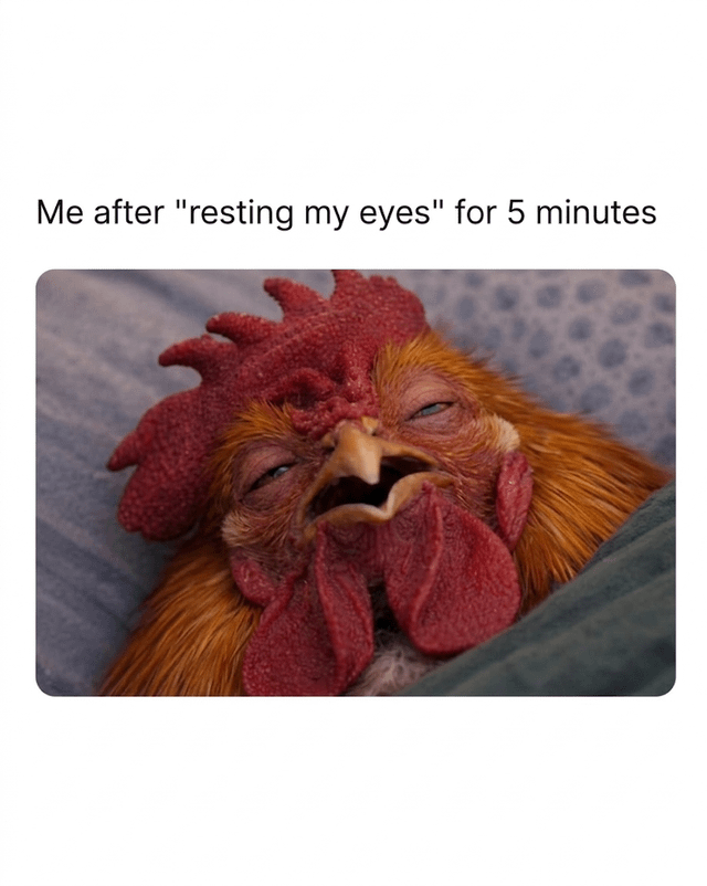 Rooster