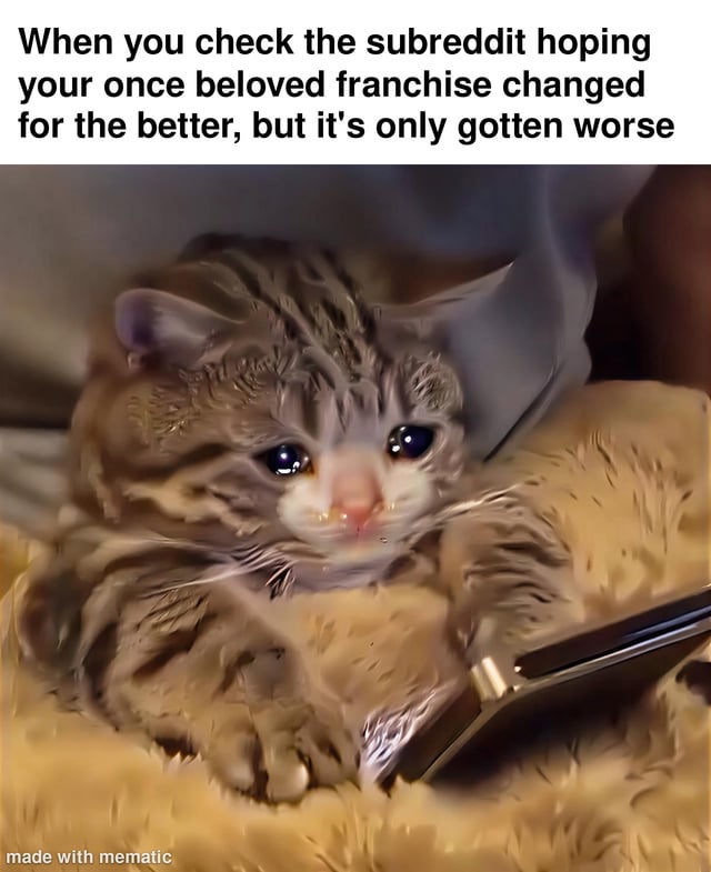 Viral Pet Photograph