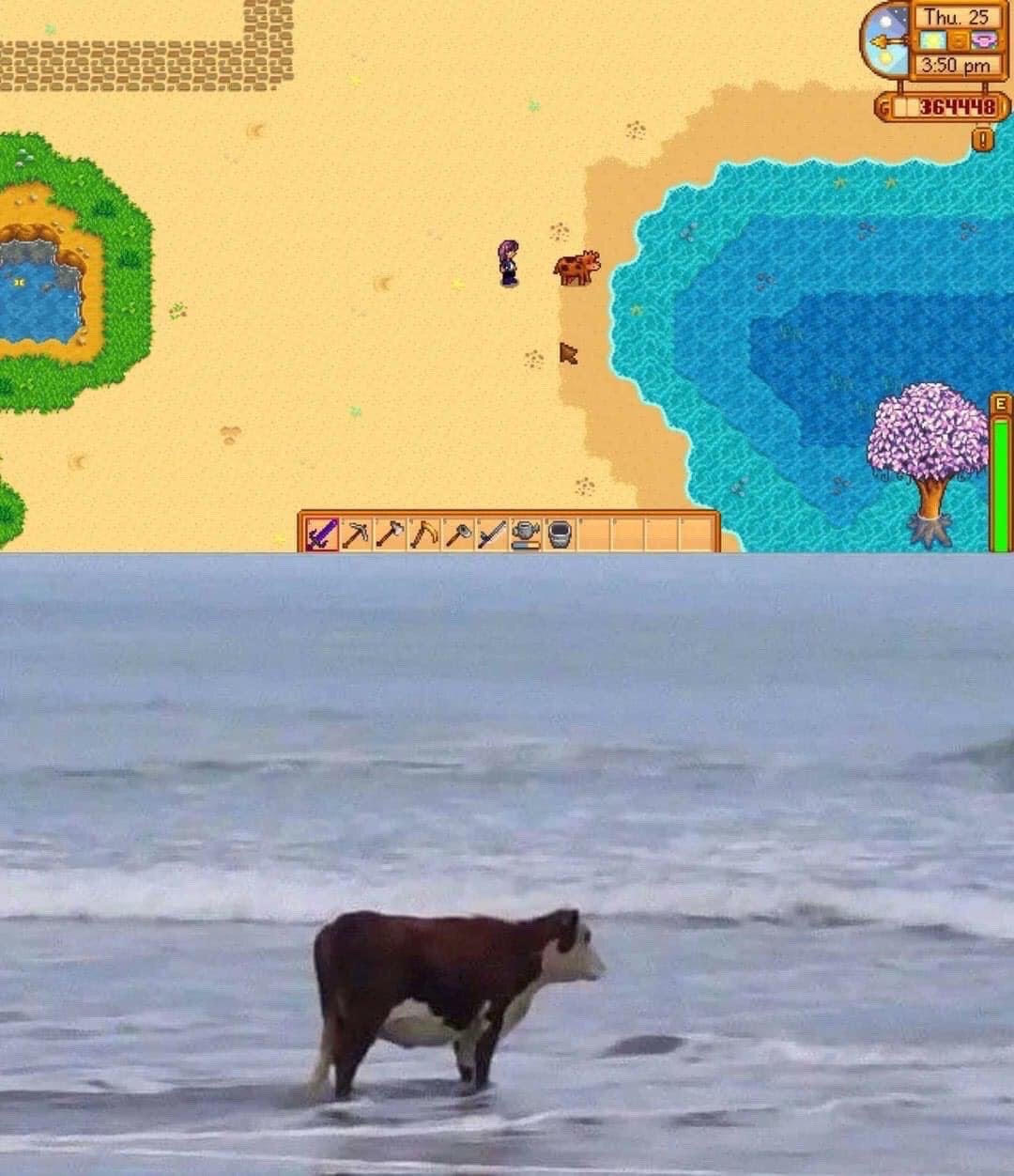 Stardew Valley