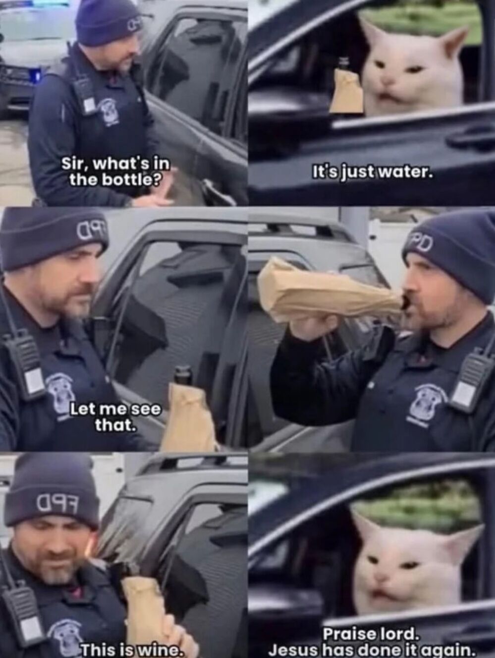 Viral pet meme (originally from the 'Woman Yelling at Cat' meme format)