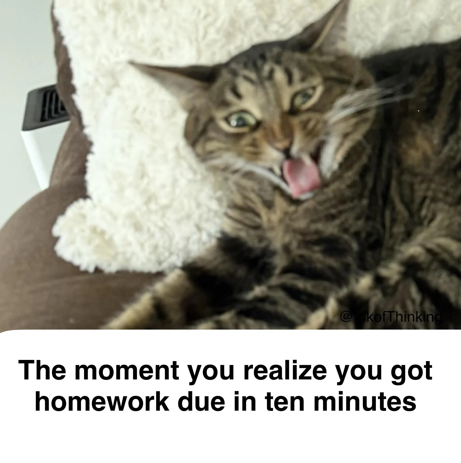 Real Life Personal Photo