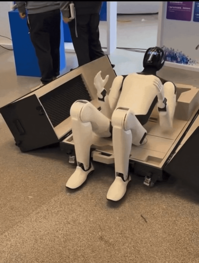 Real World (UBTECH Robotics)