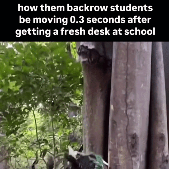 Real-world footage