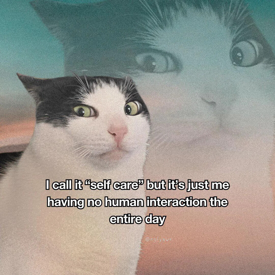 Internet Meme