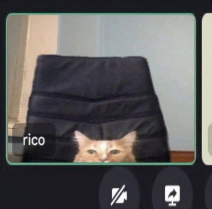 Real Life Remote Zoom Call
