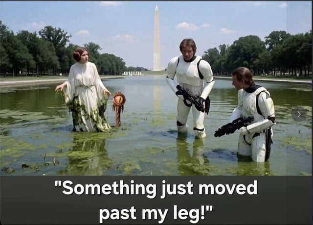 Star Wars Prequel Trilogy
