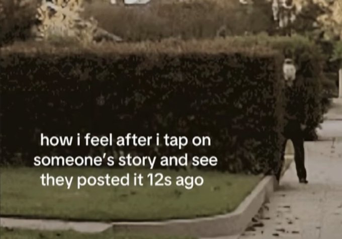 Unknown public footage (original meme template)