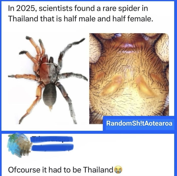 2025 Real Scientific Discovery