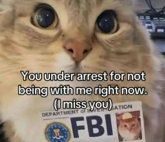 Original Meme Creation