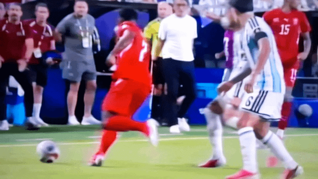 Professional international soccer match