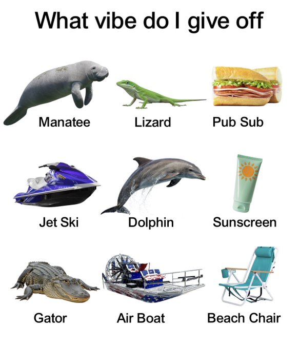 Real Wild/Rescue Animal
