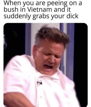 Gordon Ramsay television series (e.g. Hell's Kitchen)