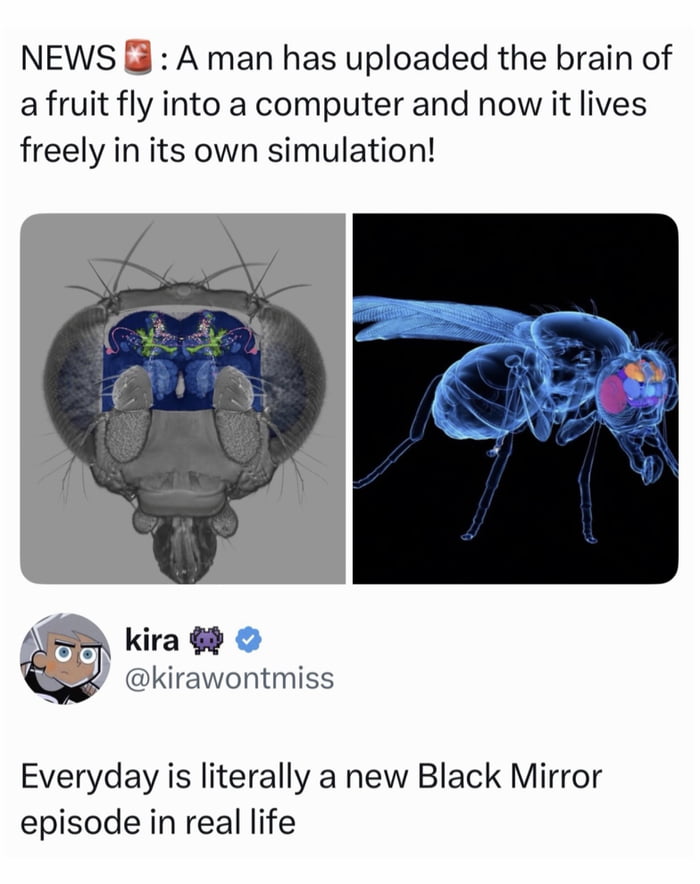 Real Social Media User