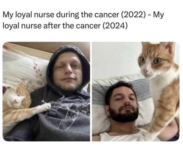 Real Life