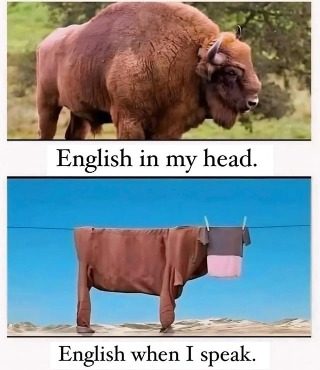 Edited Meme Image