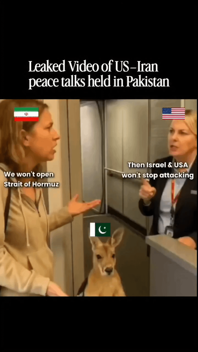 Viral two women arguing with baby deer meme template