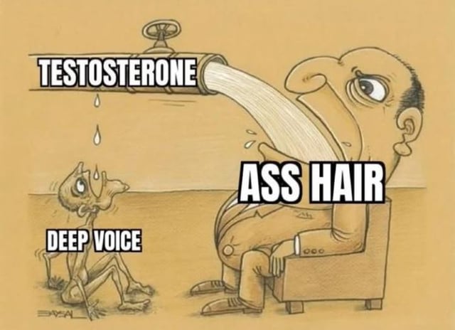 Meme Cartoon Illustration