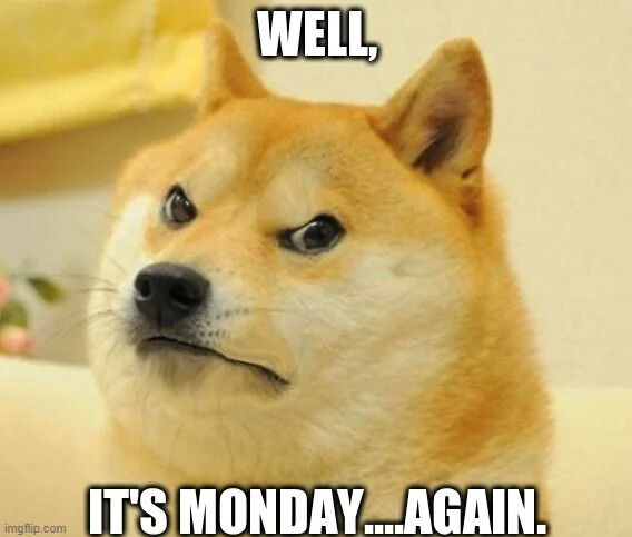 Viral Internet Meme (Real Pet Shiba Inu)