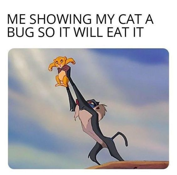 Rafiki