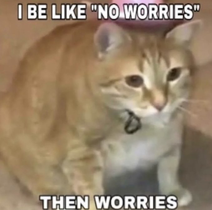 Orange Tabby Cat