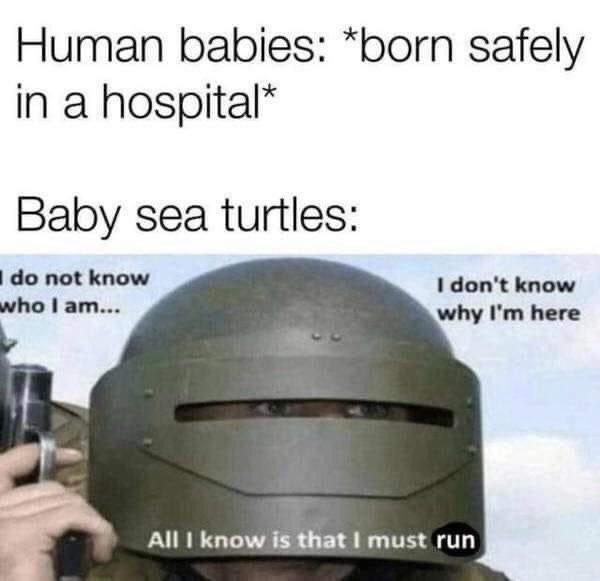 Tom Clancy's Rainbow Six Siege