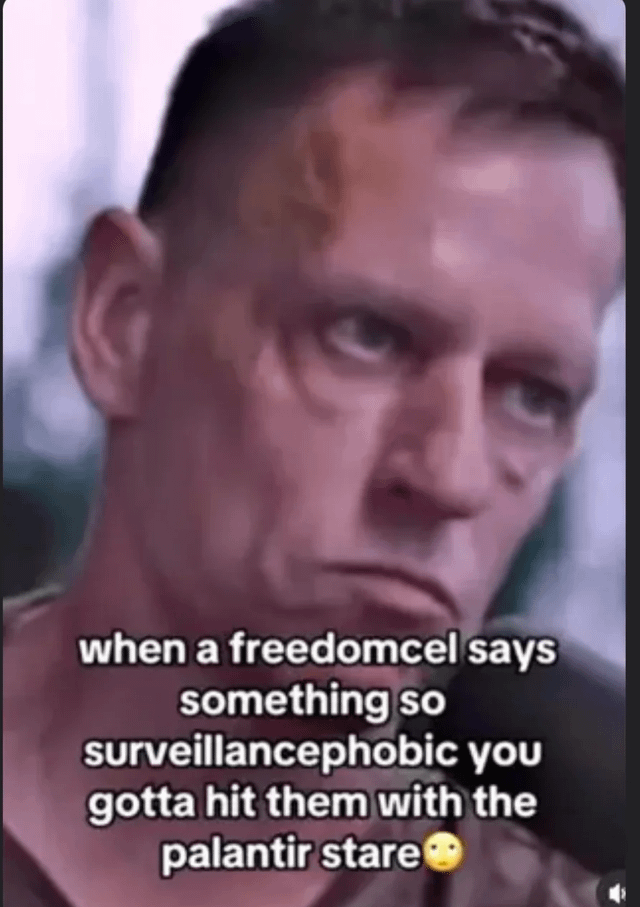 Real Person (Tech Entrepreneur, Co-founder of Palantir)
