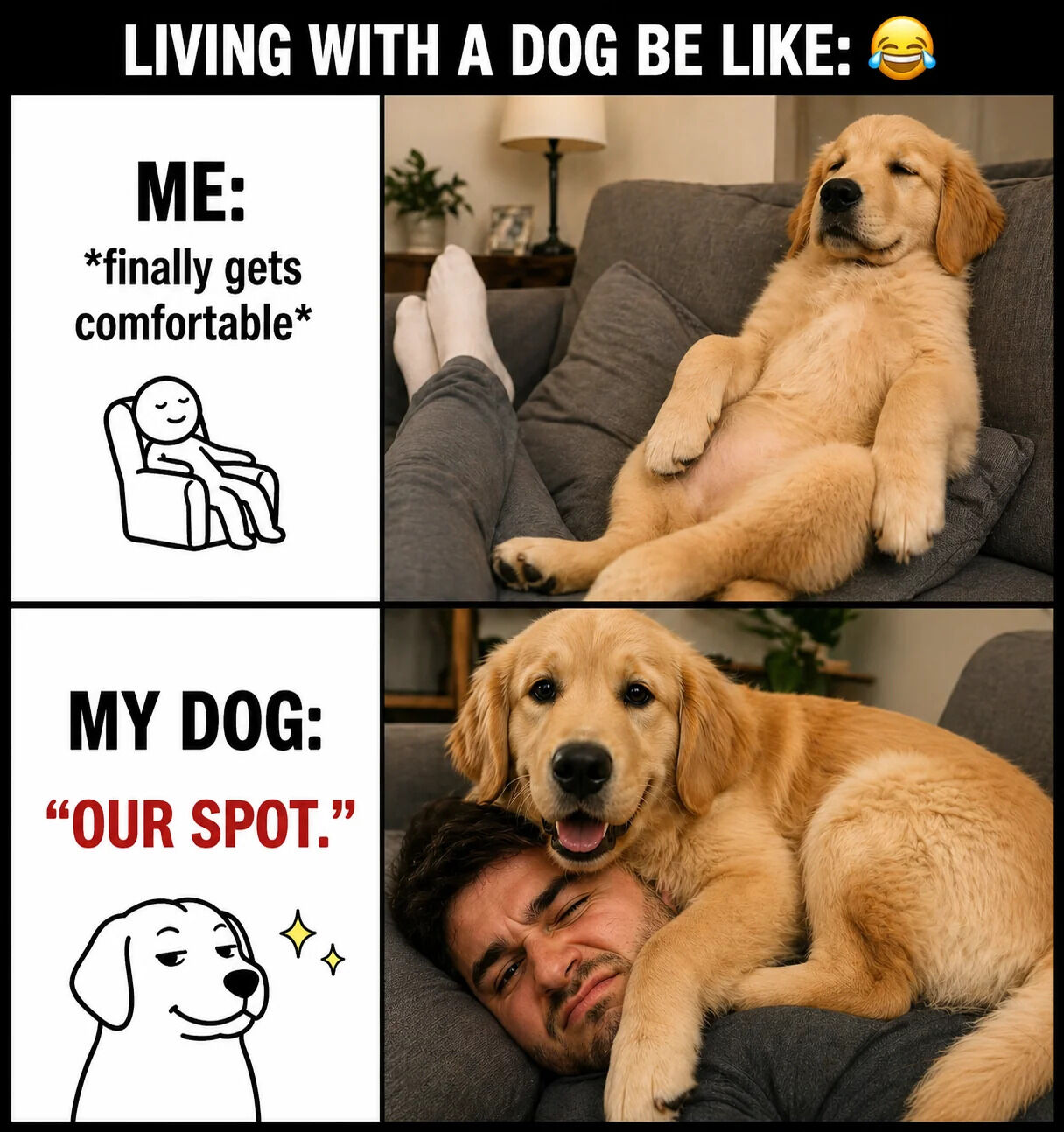 Golden Retriever Pupper