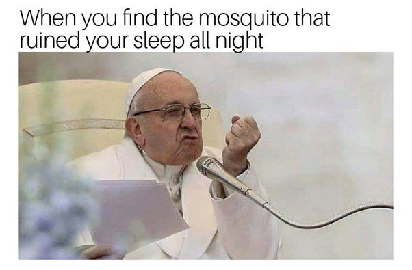 Real Public Figure (Head of the Catholic Church)