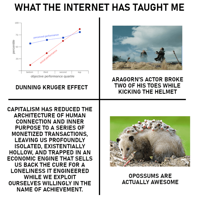 Opossum