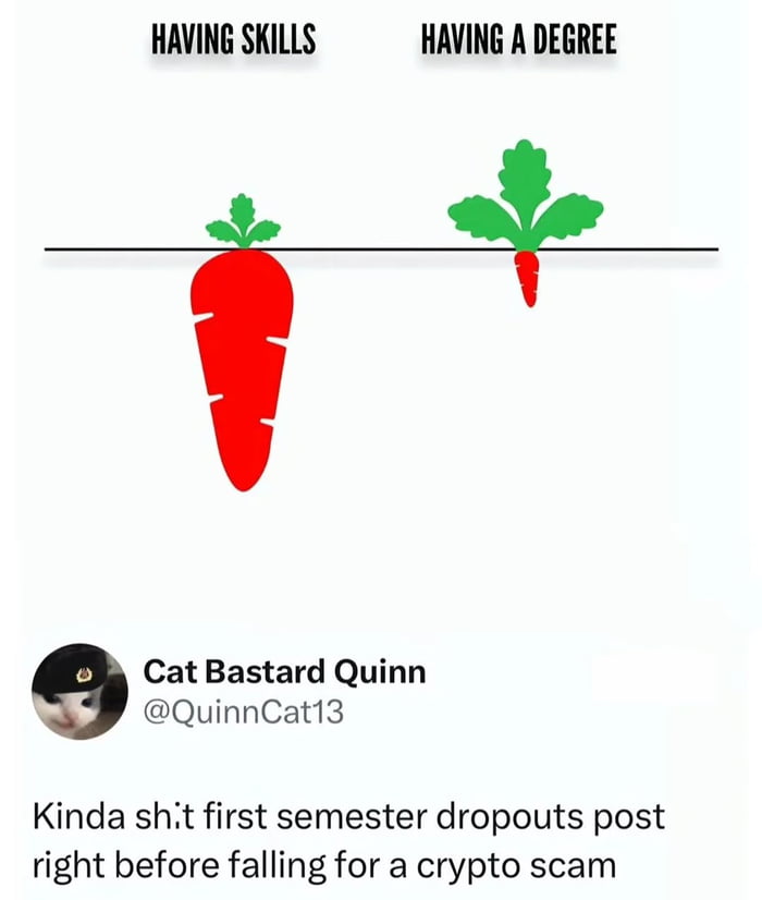 Twitter User Profile Picture
