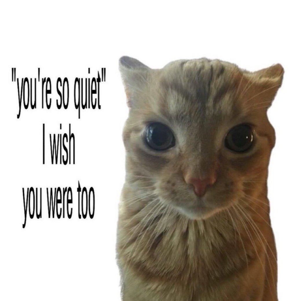 Wide-eyed confused orange tabby cat