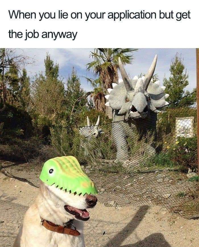 Dinosaur Park Outdoor Display