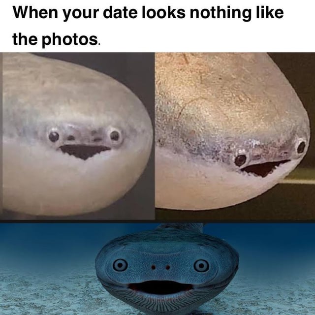 Real animal stock photography
