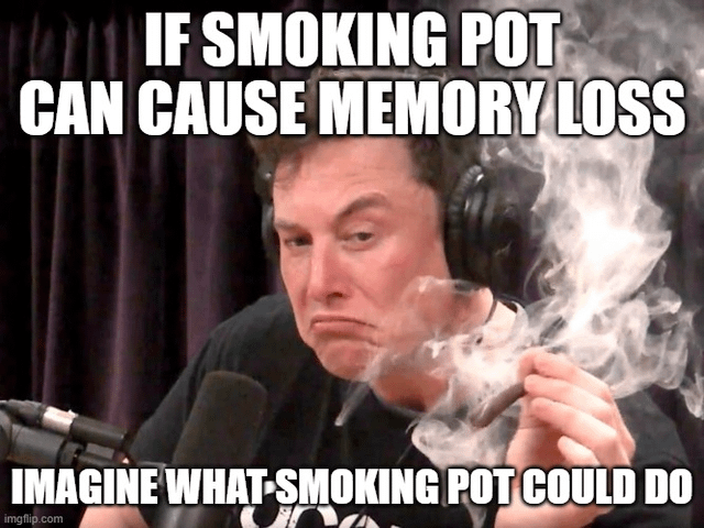 The Joe Rogan Experience (Podcast)