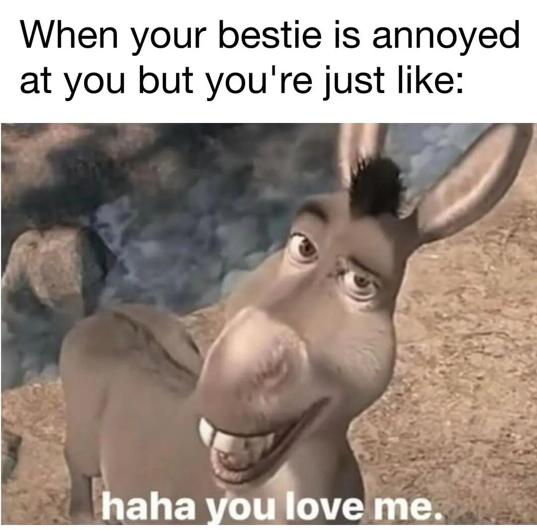 Shrek (Animated Movie)