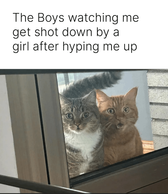 Real Life (Animal Shelter)