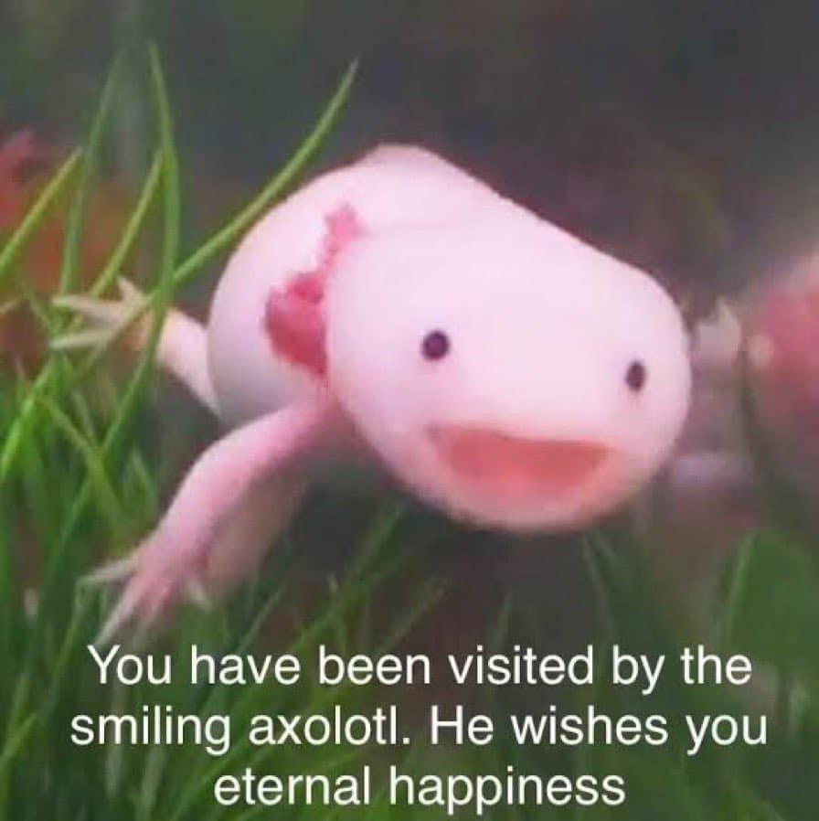 Original Meme Image