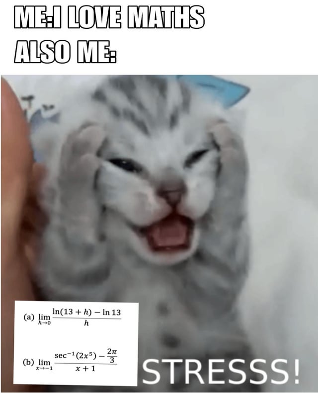 Viral internet cat meme template