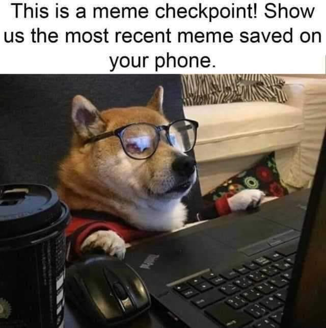 Internet Meme