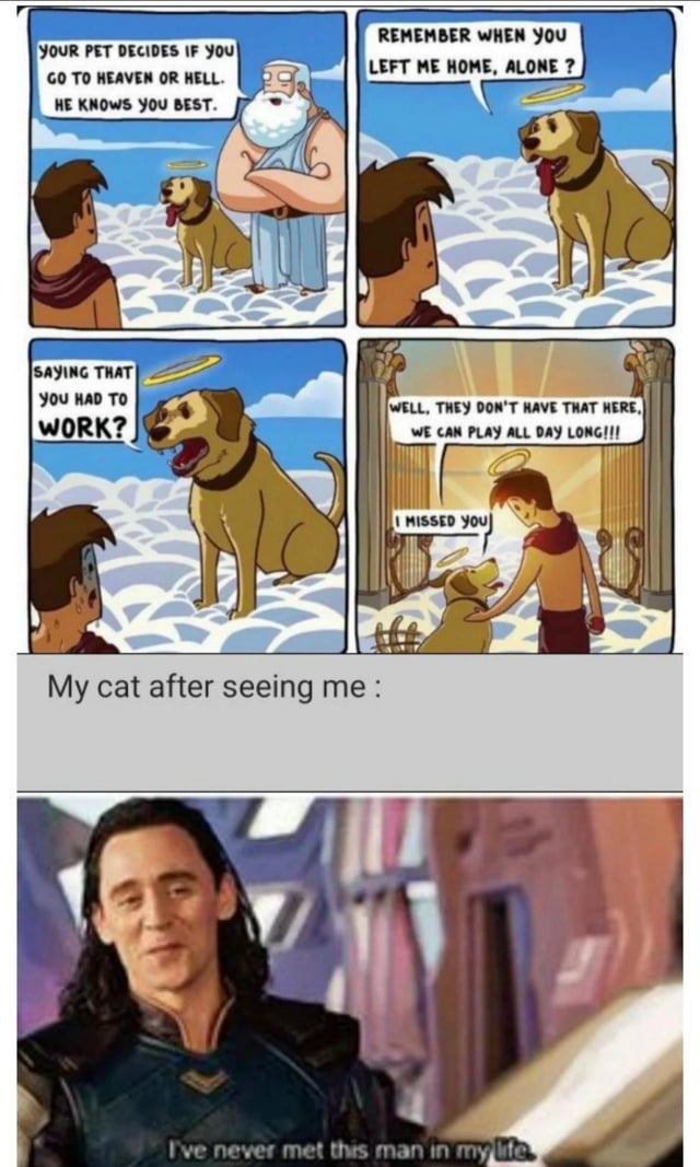 Animated Comic