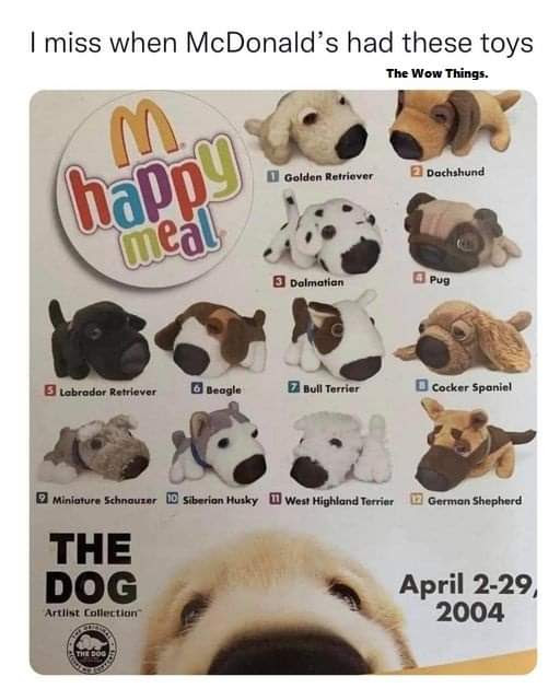 THE DOG Artist Collection