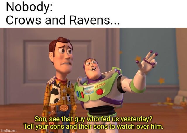 Woody