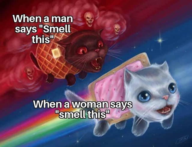 Nyan Cat Remix