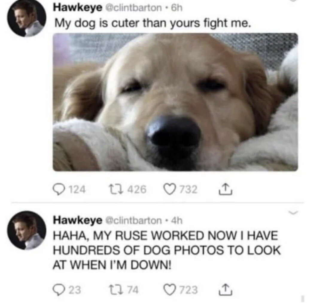 Golden Retriever